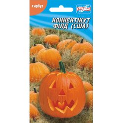 Тыква Коннектикут филд /15 семян/ *Гелиос*