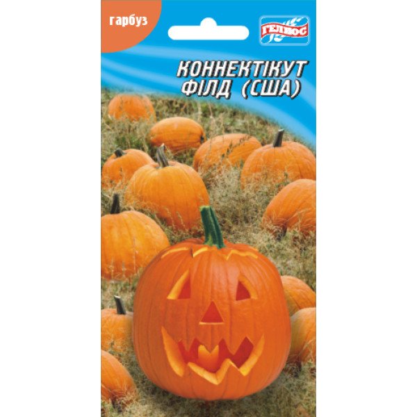 Тыква Коннектикут филд /15 семян/ *Гелиос*