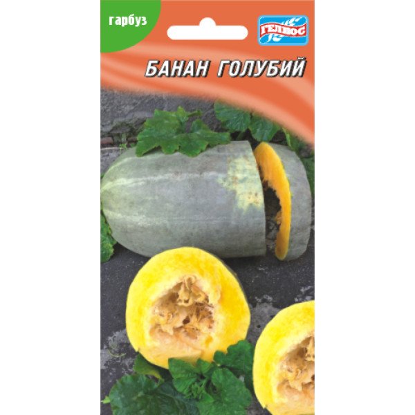 Тыква Банан голубой /10 семян/ *Гелиос*
