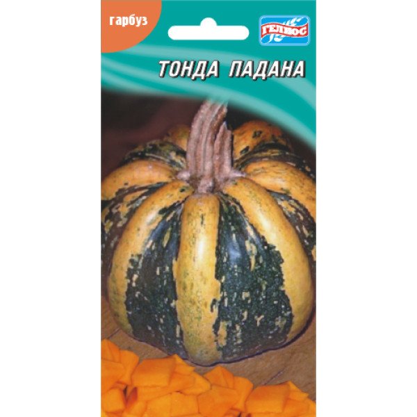 Семена тыквы Тонда Падана /10 семян/ *Гелиос*
