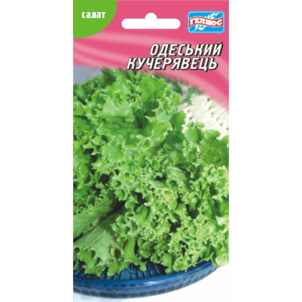 Салат Одеський кучерявець /1000 насінин/ *Геліос*