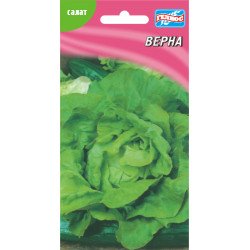 Салат Верна /1000 семян/ *Гелиос*