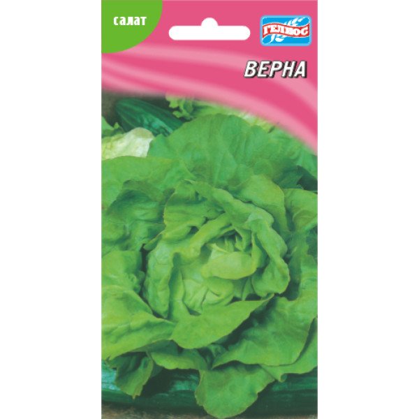 Насіння салату Верна /1000 насінин/ *Геліос*