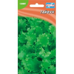 Салат Тайфун /500 семян/ *Гелиос*