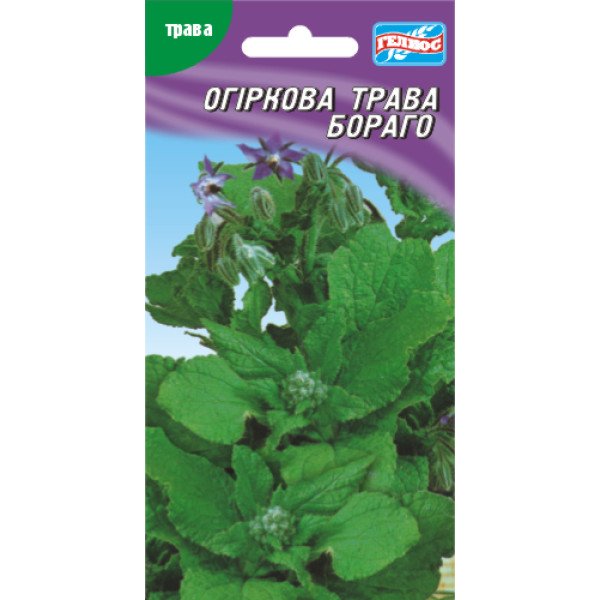 Огіркова трава Бораго /15 насінин/ *Геліос*