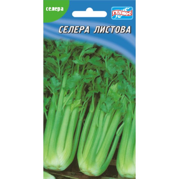 Насіння селери листова /300 насінин/ *Геліос*
