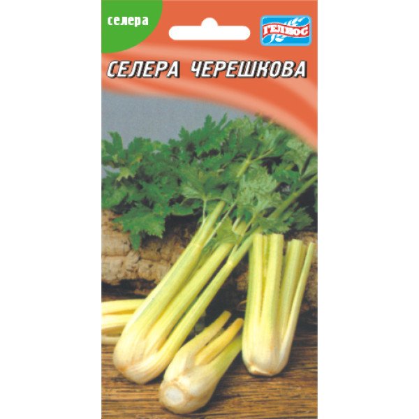 Семена сельдерея Черешковый /300 семян/ *Гелиос*