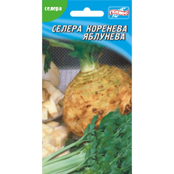 Насіння селери кореневої Яблунева /500 насінин/ *Геліос*