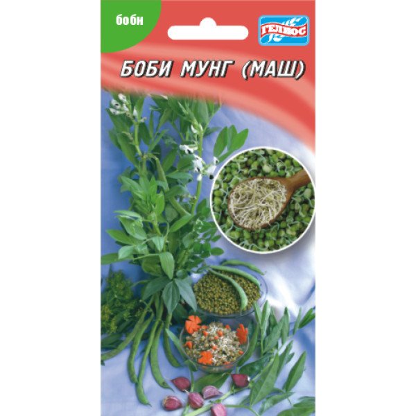Семена бобов Мунг (Маш) /100 семян/ *Гелиос*