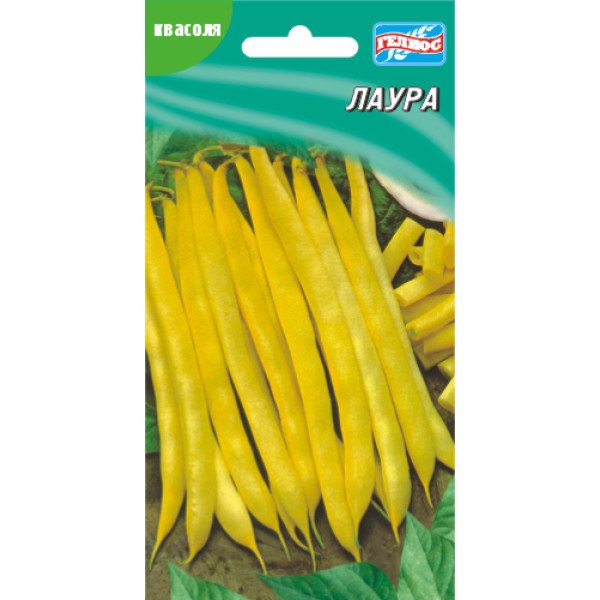 Насіння квасолі Лаура /20 насінин/ *Геліос*