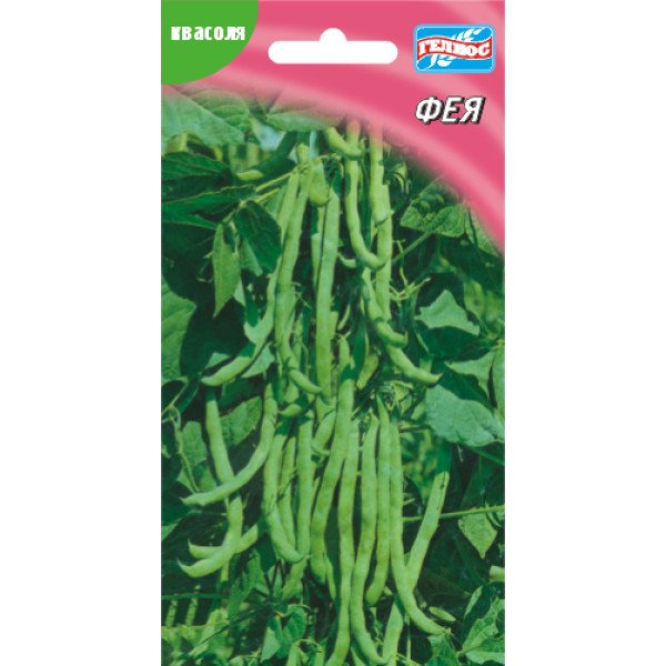 Насіння квасолі Фея /10 насінин/ *Геліос*