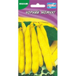 Квасоля Чорний жемчуг /10 насінин/ *Геліос*