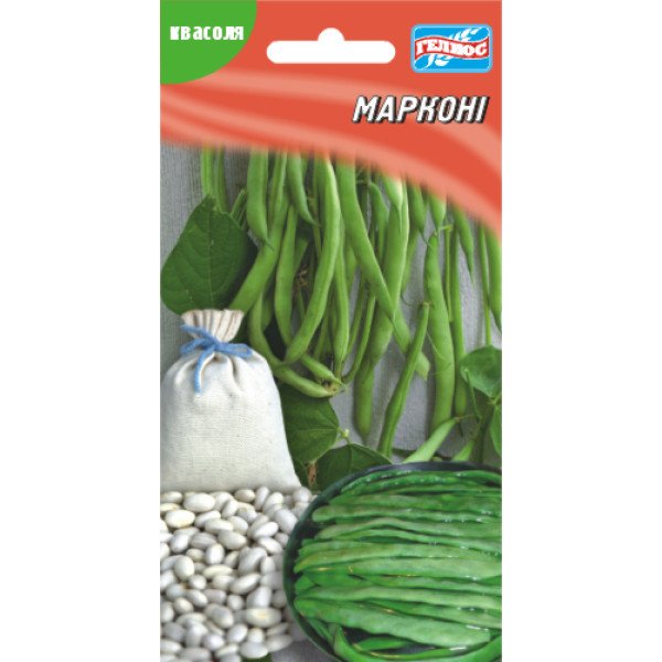 Насіння квасолі Марконі /12 насінин/ *Геліос*