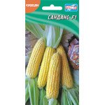 Кукуруза сахарная Санданс F1 /20 семян/ *Гелиос*