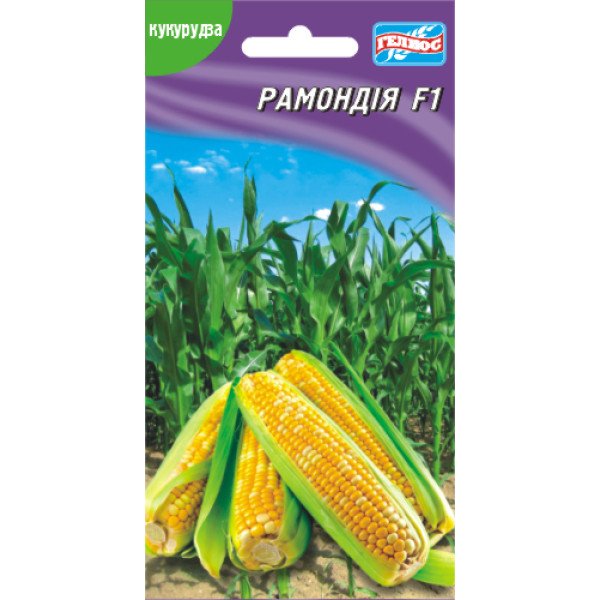 Насіння кукурудзи цукрової Рамондія F1 /10 г/ *Геліос*