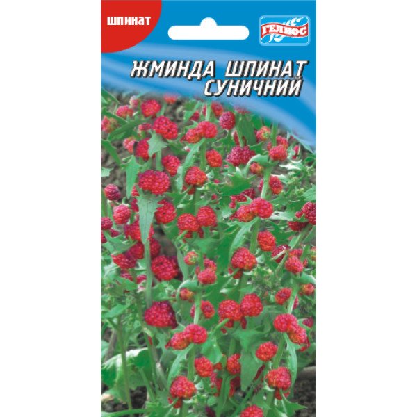 Жминда (Шпинат суничний) /0,1 г/ *Геліос*