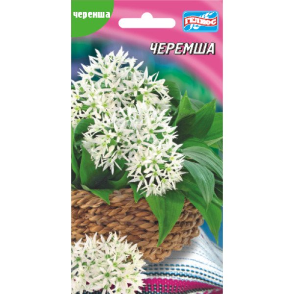 Черемша /30 семян/ *Гелиос*