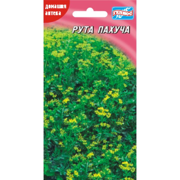 Рута Пахуча /100 насінин/ *Геліос*