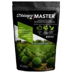 Добриво МАЙСТЕР для самшиту та вічнозелених чагарників Весна-Літо /250 г/ *Valagro*