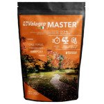 Добриво МАЙСТЕР для саду, городу та ландшафту Осінь /250 г/ *Valagro*