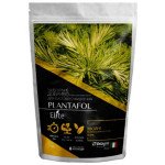 Удобрение ПЛАНТАФОЛ Элит для хвойных и вечнозеленых растений Осень /100 г/ *Valagro*