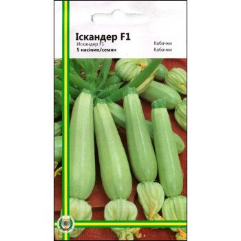 Кабачок Іскандер F1 /5 насінин/ *Імперія Насіння*
