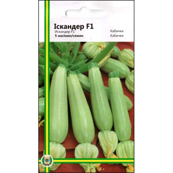 Насіння кабачка Іскандер F1 /5 насінин/ *Імперія Насіння*