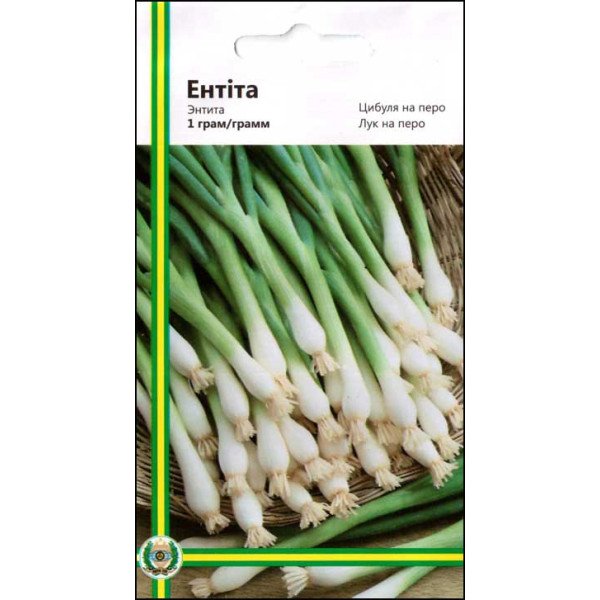 Насіння цибулі на перо Ентіта /1 г/ *Імперія Насіння*