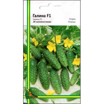 Огурец Галина F1 /20 семян/ *Империя Семян*