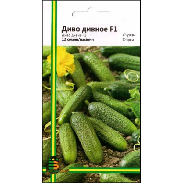 Семена огурца Диво дивное F1 /12 семян/ *Империя Семян*