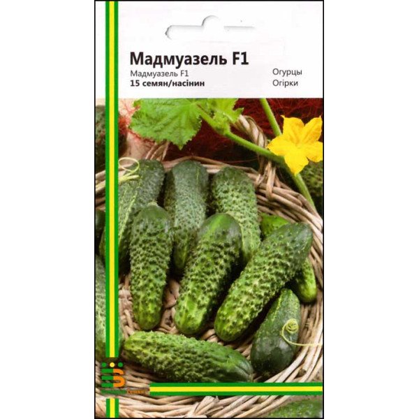 Насіння огірка Мадмуазель F1 /15 насінин/ *Імперія Насіння*
