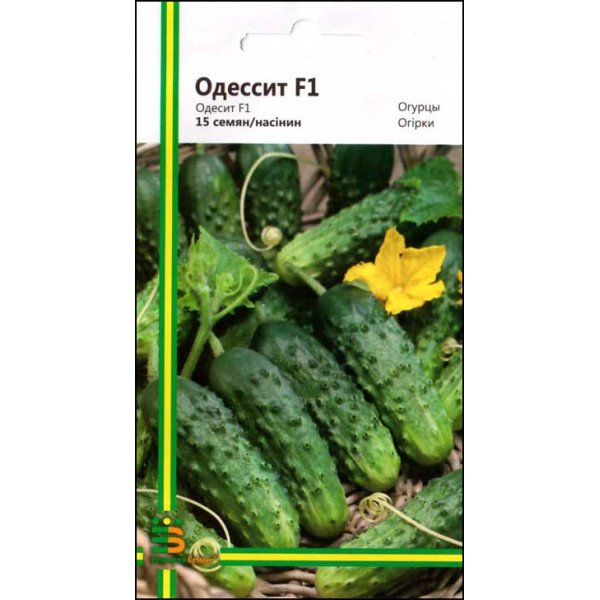 Насіння огірка Одесит F1 /15 насінин/ *Імперія Насіння*