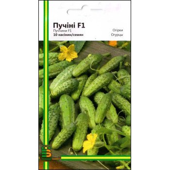 Огурец Пуччини F1 /10 семян/ *Империя Семян*