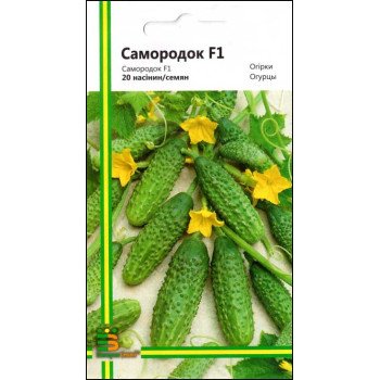 Огурец Самородок F1 /20 семян/ *Империя Семян*