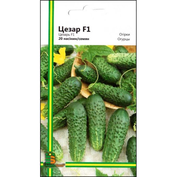 Семена огурца Цезарь F1 /20 семян/ *Империя Семян*