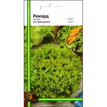 Салат Рекорд /0,5 г/ *Імперія Насіння*