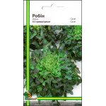 Салат Робин /0,5 г/ *Империя Семян*