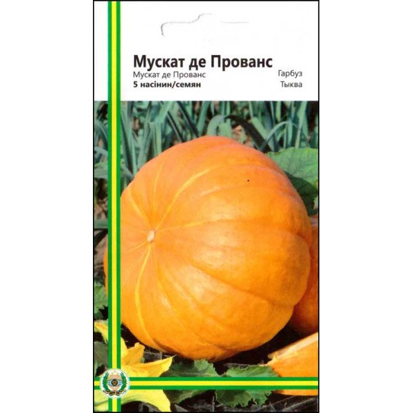Насіння гарбуза Мускат де Прованс /5 насінин/ *Імперія Насіння*