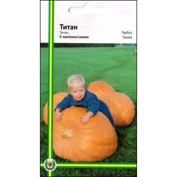 Тыква Титан /5 семян/ *Империя Семян*