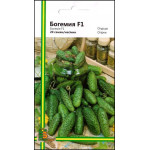 Огірок Богемія F1 /20 насінин/ *Імперія Насіння*