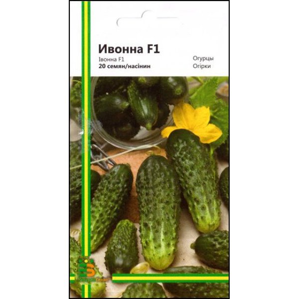 Огірок Івонна F1 /20 насінин/ *Імперія Насіння*