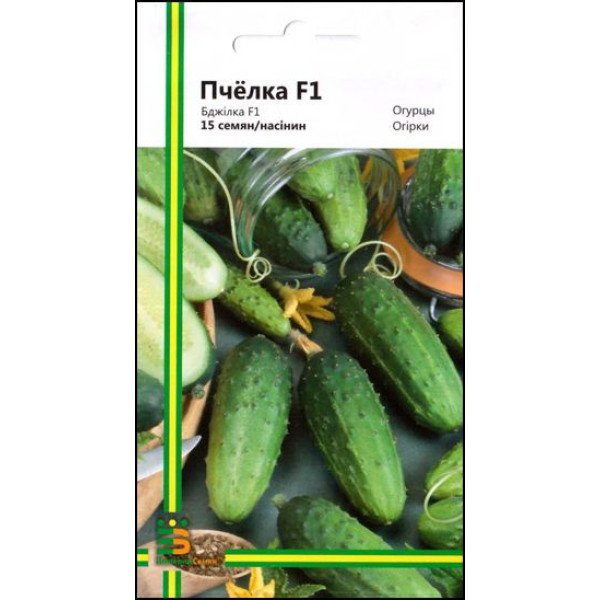 Огірок Бджілка F1 /15 насінин/ *Імперія Насіння*