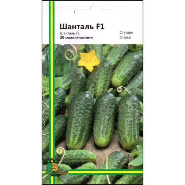 Огірок Шанталь F1 /20 насінин/ *Імперія Насіння*
