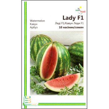 Арбуз Леди F1 /10 семян/ *Империя Семян*