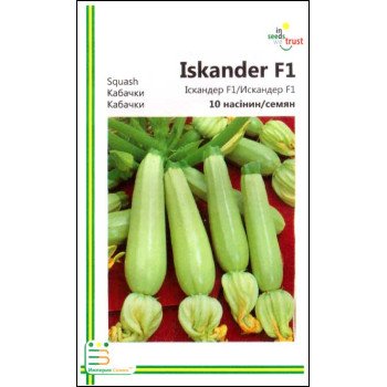 Кабачок Іскандер F1 /10 насінин/ *Імперія Насіння*