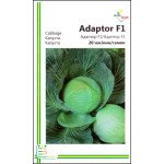 Капуста білоголова Адаптор F1 /20 насінин/ *Імперія Насіння*