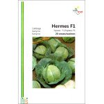 Капуста белокочанная Гермес F1 /20 семян/ *Империя Семян*