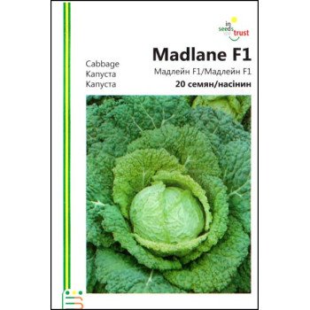 Капуста савойська Мадлейн F1 /20 насінин/ *Імперія Насіння*
