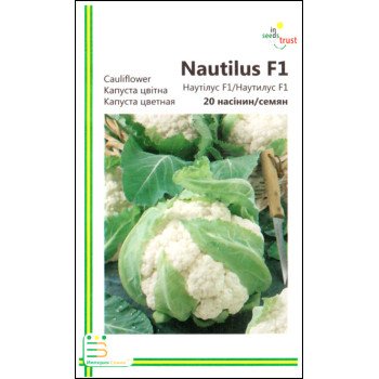 Капуста цвітна Наутілус F1 /20 насінин/ *Імперія Насіння*