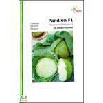 Капуста білоголова Пандіон F1 /20 насінин/ *Імперія Насіння*